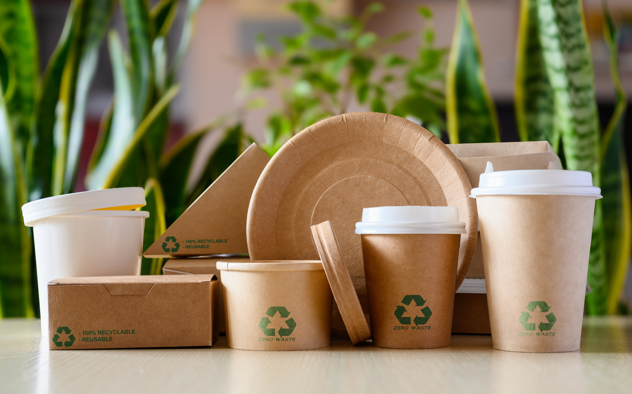 Sustainable restaurant packaging: Paper cups, plates, and containers with "Zero Waste" and "100% Recyclable" messages.